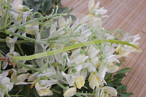 Flower of Drumstick Vegetable or Moringa.