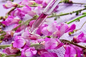 Flower essence