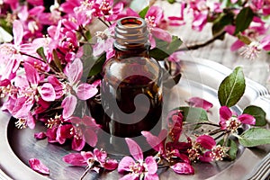 Flower Essence photo