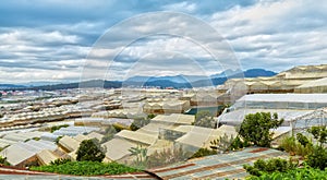 Flower farms in greenhouse garden in the city of Dalat, Vietnam