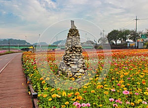 Flower Festival in Yellow Ciy Jangseong, Jeonnam, South Korea, Asia photo