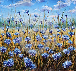 Kvetina. modrý kvety v lúka. modrá obloha. olej maľovanie 