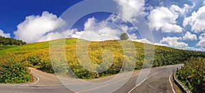 Flower field mountain and road with bluesky