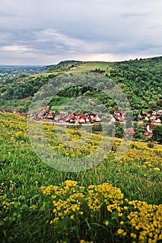 Flower field over village