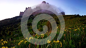 Flower fields, fast flying clouds in mountain landscape