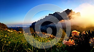 Flower fields, fast flying clouds in mountain landscape