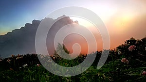 Flower fields, fast flying clouds in mountain landscape