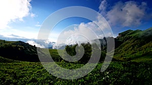 Flower fields, fast flying clouds in mountain landscape