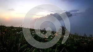 Flower fields, fast flying clouds in mountain landscape