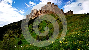 Flower fields, fast flying clouds in mountain landscape