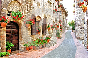 Flower filled Italian lane