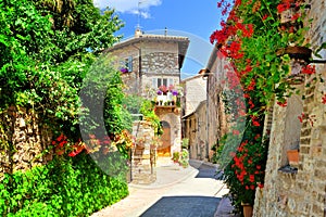 Flower filled medieval street in the old town of Assisi, Italy