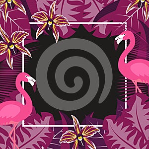 Flower flamingo frame 2