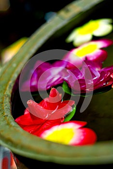 Flower floating on water