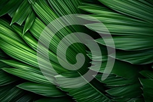 nature leaf colourful art palm forest tropical jungle tree background green. Generative AI.