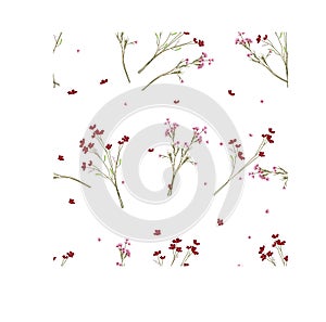 Flower floral fillers seamless pattern template with solid background