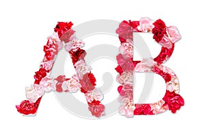 Flower font alphabet A B set collection A-Z, made from real Carnation flowers pink, red with paper cut shape of capital letter