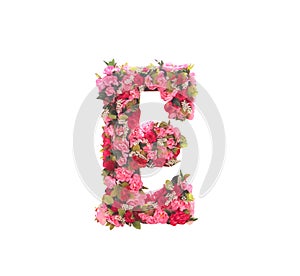 Flower font alphabet E decorative with colorful red rose white lily isolated on white background , clipping path for Wedding ,