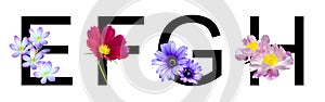 Flower font alphabet e, f, g, h made of real flowers