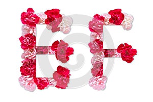 Flower font alphabet E F set collection A-Z, made from real Carnation flowers pink, red with paper cut shape of capital letter