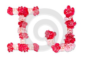 Flower font alphabet I J set collection A-Z, made from real Carnation flowers pink, red with paper cut shape of capital letter