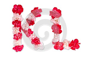 Flower font alphabet K L set collection A-Z, made from real Carnation flowers pink, red with paper cut shape of capital letter