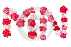 Flower font alphabet M N set collection A-Z, made from real Carnation flowers pink, red with paper cut shape of capital letter