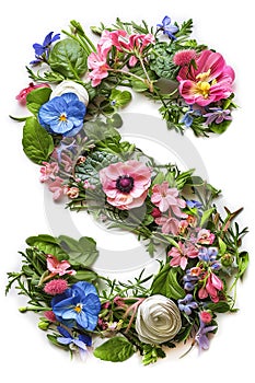 Flower font alphabet S made of colorful floral letter on white background