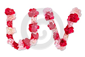 Flower font alphabet U V set collection A-Z, made from real Carnation flowers pink, red with paper cut shape of capital letter