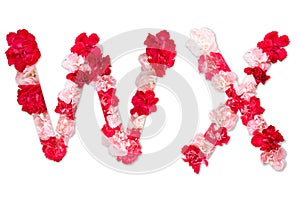 Flower font alphabet W X set collection A-Z, made from real Carnation flowers pink, red with paper cut shape of capital letter