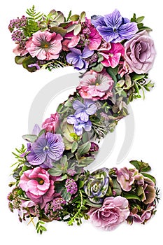 Flower font alphabet Z made of colorful floral letter on white background