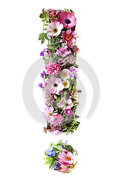 Flower font exclamation mark made of beautiful flowers isolated on white background