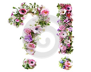 Flower font exclamation mark and question mark made of colorful floral letters isolated on white background