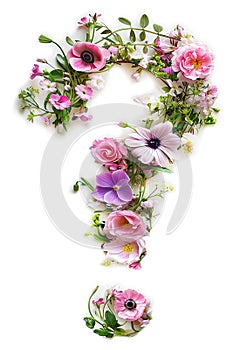 Flower font question mark made of colorful flowers isolated on white background