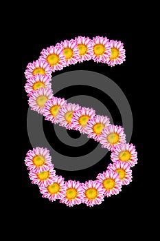 Flower font - S photo