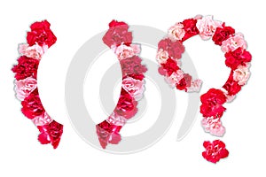 Flower font for symbol bracket, question mark collection alphabet A-Z set, made from real Carnation flowers pink, red color