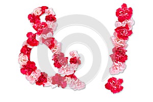 Flower font for symbol exclamation mark, ampersandand collection alphabet A-Z set, made from real Carnation flowers pink, red