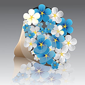 Flower forget-me-not