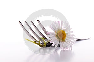 Flower and fork