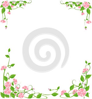 Flower frame