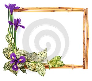 Flower Frame-6