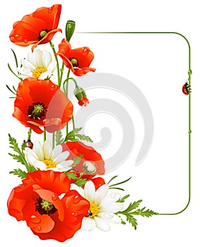 Flower frame 8. Poppy and Camomile