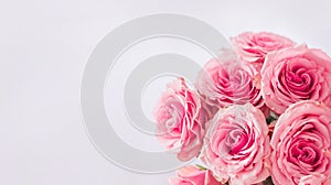 Flower frame, banner. Delicate card with pink roses on a white background. Space for text