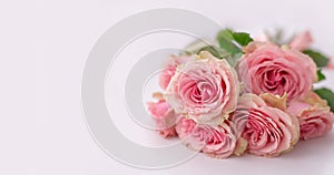 Flower frame, banner. Delicate card with pink roses on a white background. Space for text