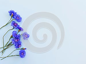 Flower frame / border of blue flowers on a pastel blue background. Top view, copy space. Empty space for a text or beauty product
