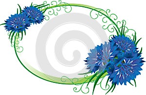 Flower frame. Bouquet cornflower isolated.