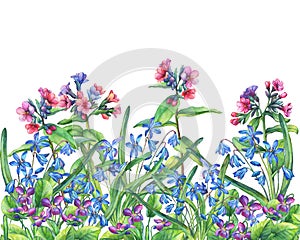 Flower frame of the Fragrant violets, lungwort and Scilla bifolia blue.