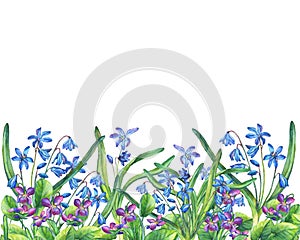 Flower frame of the Fragrant violets and Scilla bifolia blue.