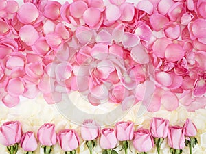 Flower frame made of pink roses