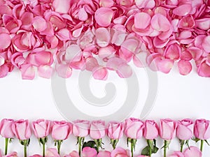 Flower frame made of pink roses